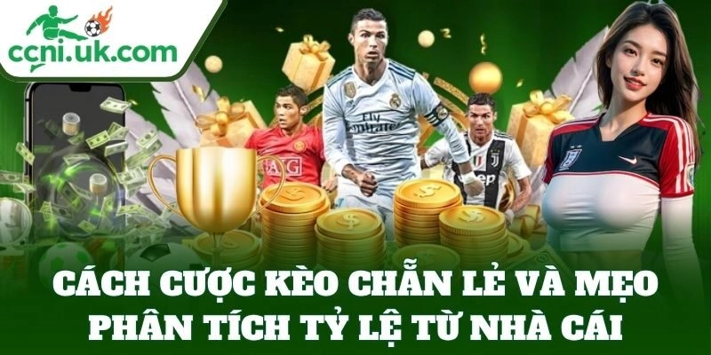 Cách Cược Kèo Chẵn Lẻ Chuẩn – Bí Kíp Dễ Chơi Dễ Thắng