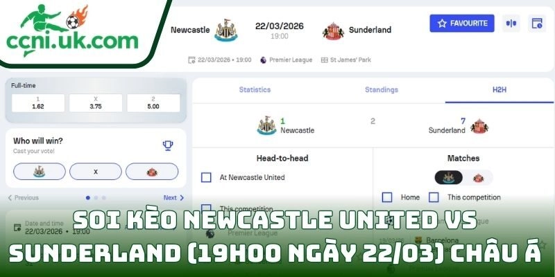 Soi kèo Newcastle United vs Sunderland (19h00 ngày 22/03) châu Á